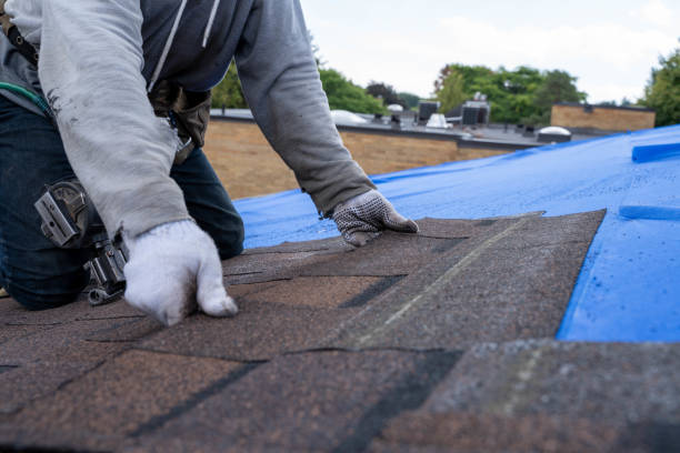Quick and Trustworthy Emergency Roof Repair Services in Ocoee, FL